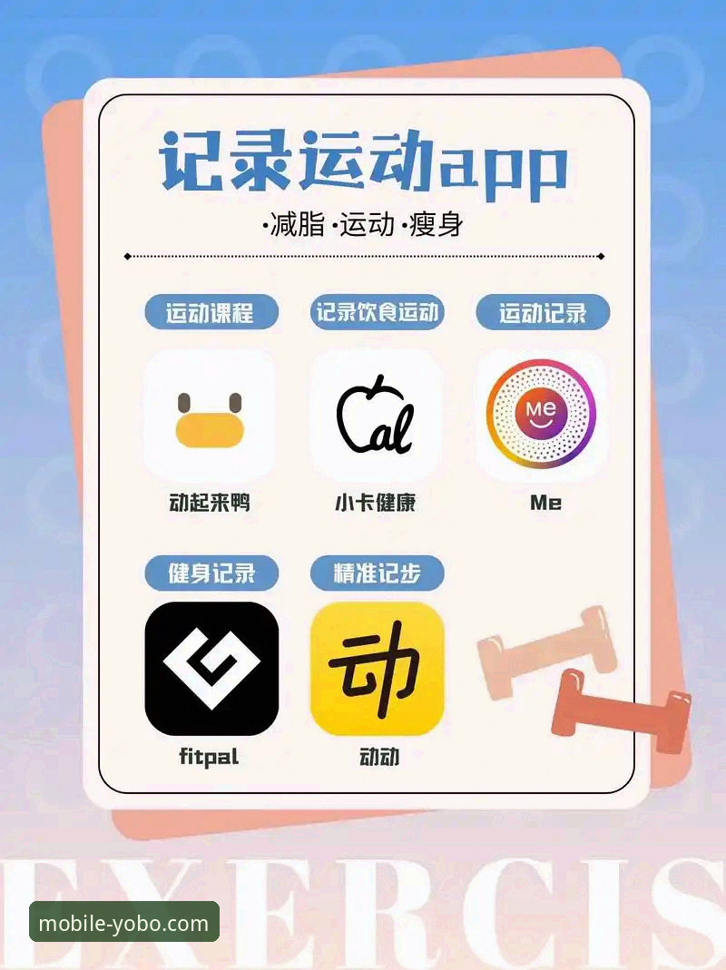 深度解析YOBO体育App：一份全面的实用评估指南